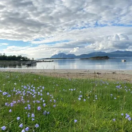Unique And Charming House At The Foot Of Lofoten's Highest Mountain