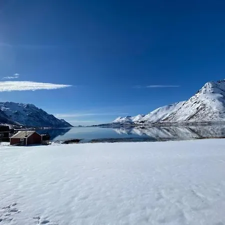 Unique And Charming House At The Foot Of Lofoten's Highest Mountain Svolvaer