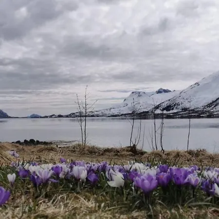 Unique And Charming House At The Foot Of Lofoten's Highest Mountain *