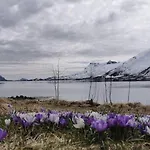 Unique And Charming House At The Foot Of Lofoten's Highest Mountain *