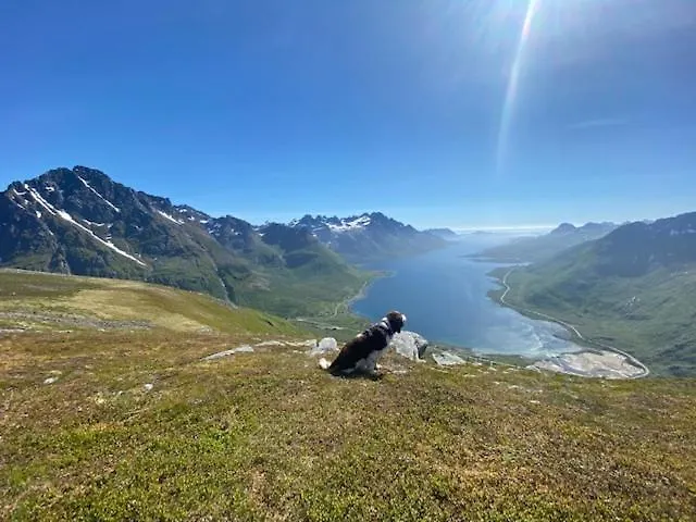Unique And Charming House At The Foot Of Lofoten's Highest Mountain * سفولفير